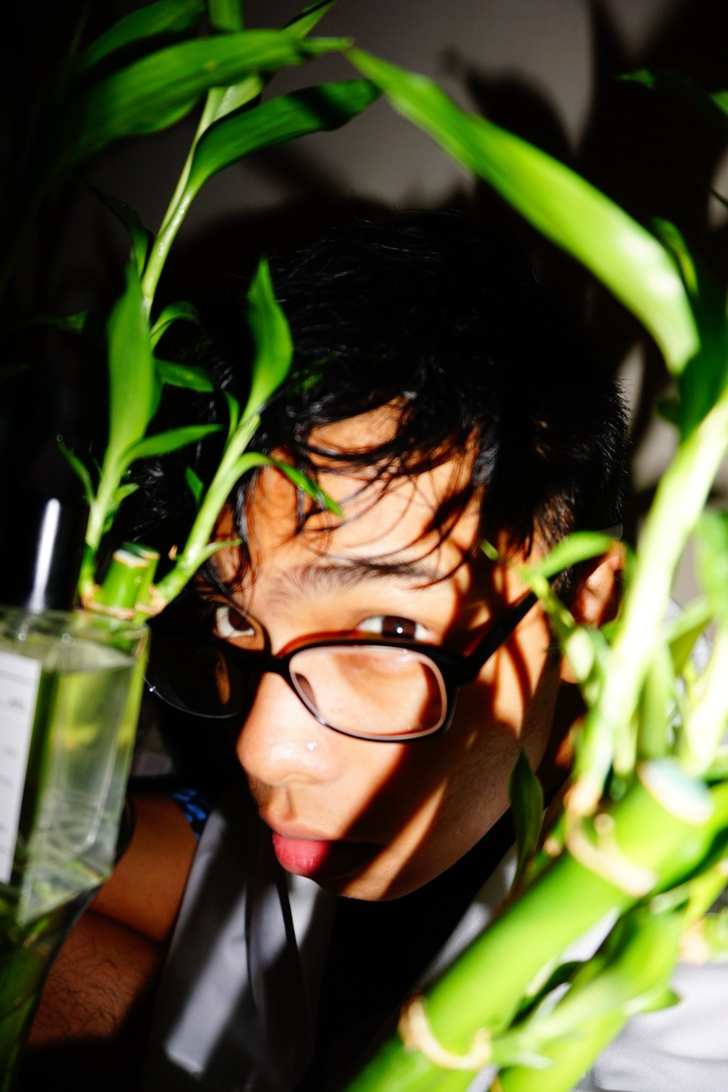 I Became A…&nbsp;Perfumist